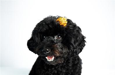 3D冒险解迷游戏《Light》将于明年登陆steam 支持中文